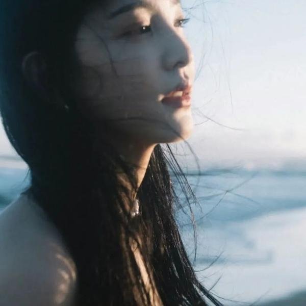 暗礁狂鲨